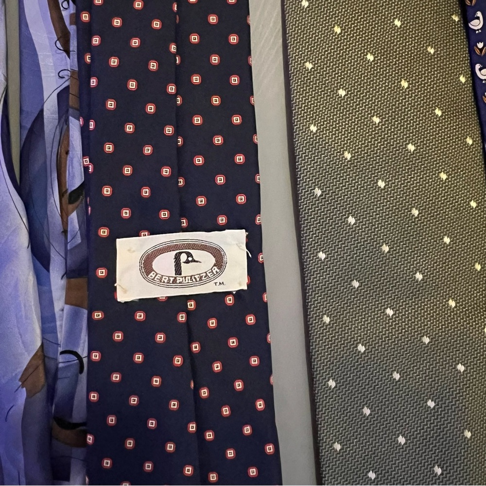 Assorted Men's Ties Collection - Picture 4 of 7